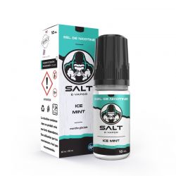 Eliquide sels de nicotine Ice Mint Salt E-Vapor : 6,21 €