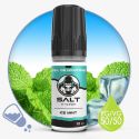 Ice Mint Salt E-Vapor