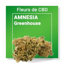 Fleur CBD - Amnesia Nature & CBD