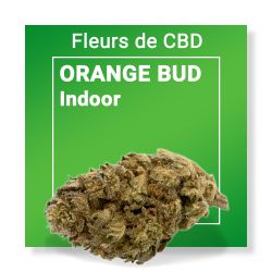 Fleur CBD - Orange Bud Nature & CBD