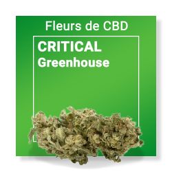 Fleur CBD - Critical Nature & CBD