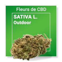 Fleur CBD - Sativa L Nature & CBD