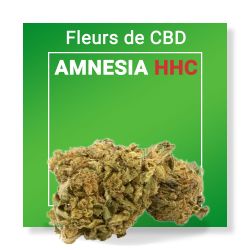Fleur CBD - Amnesia HHC Tengrams