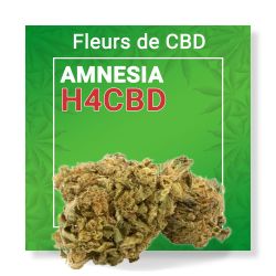 Fleur CBD - Amnesia H4CBD Tengrams