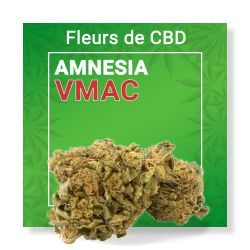 Fleur CBD - Amnesia VMAC White Rabbit