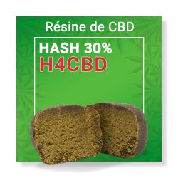 Résine CBD - H4CBD Tengrams