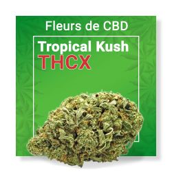 Fleur Cbd Tropical Kush Thcx Nature Cbd