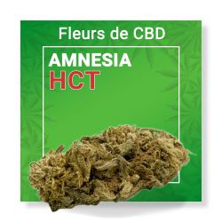 Fleur Cbd Amnesia Hct Nature Cbd