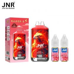 Puff Kit Black Dragon Ice Jnr