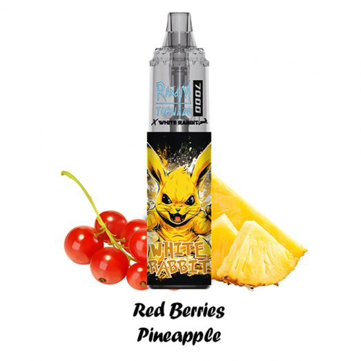Kit Red Berries Pineapple - RandM Tornado