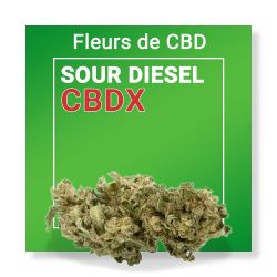 Fleur Cbd Sour Diesel Cbdx Nature Cbd