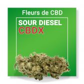 Fleur Cbd Sour Diesel Cbdx Nature Cbd