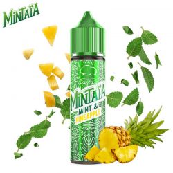 Eliquide Mint & Pineapple 50ml Eliquid France