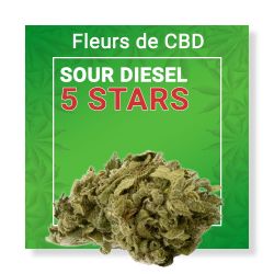 Fleur Cbd Sour Diesel 5 Stars Nature Cbd